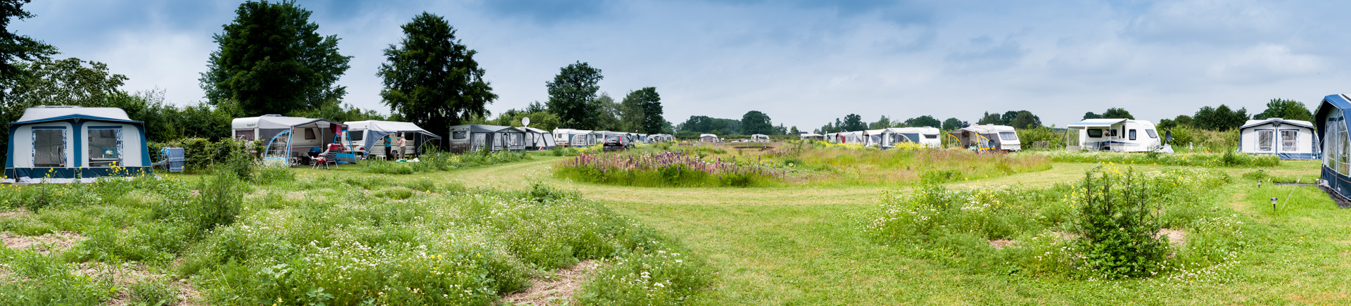 Camping De Kikker Hall bloemenveld