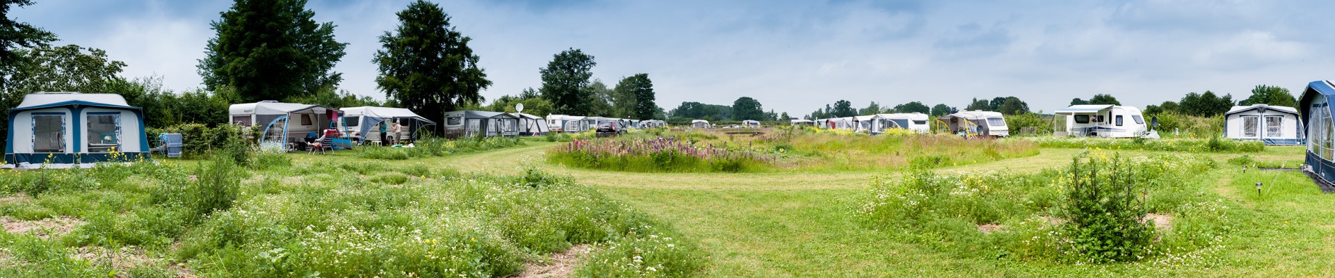 Camping De Kikker Hall bloemenveld